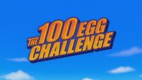 The 100 Egg Challenge