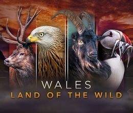 image-https://media.senscritique.com/media/000018552767/0/Wales_Land_of_the_Wild.jpg