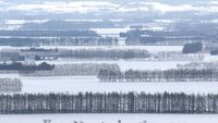 Tokachi Plain in Winter