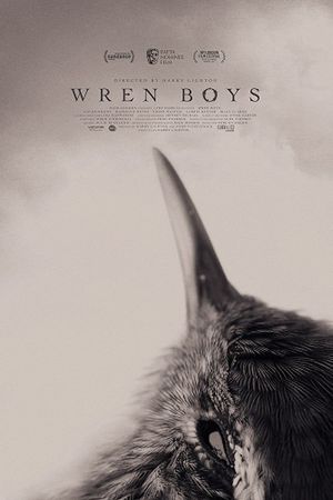 Wren boys