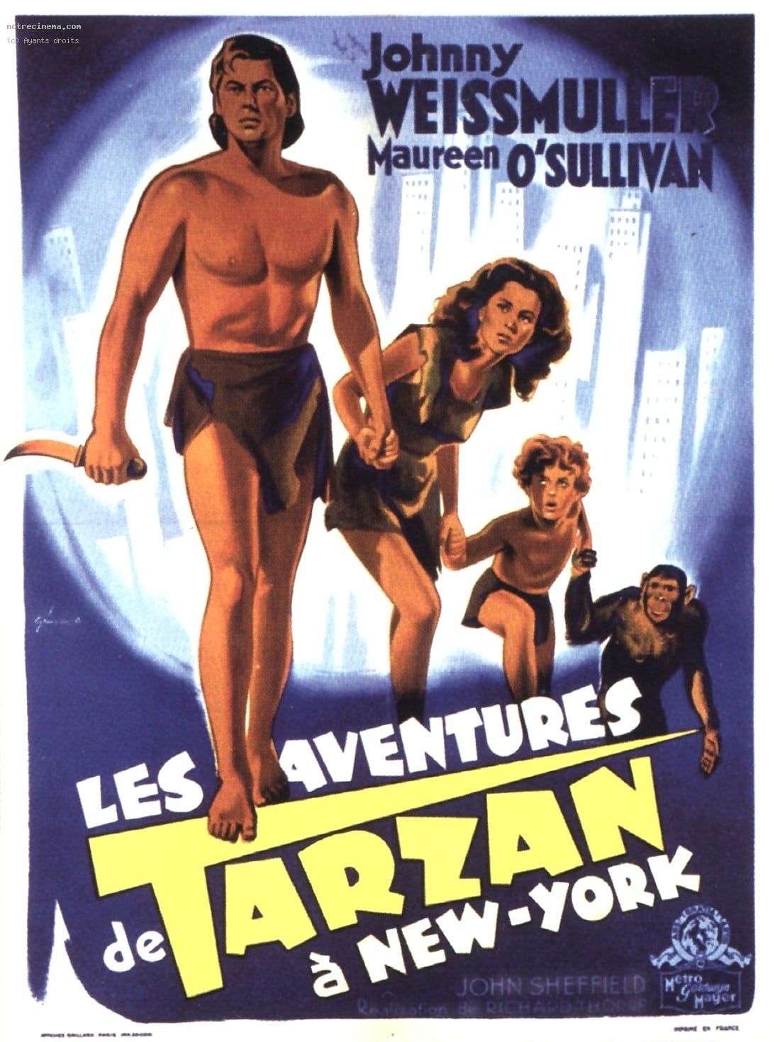 Les Aventures De Tarzan à New York
