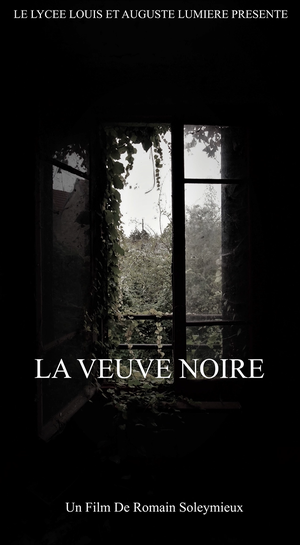 LA VEUVE NOIRE