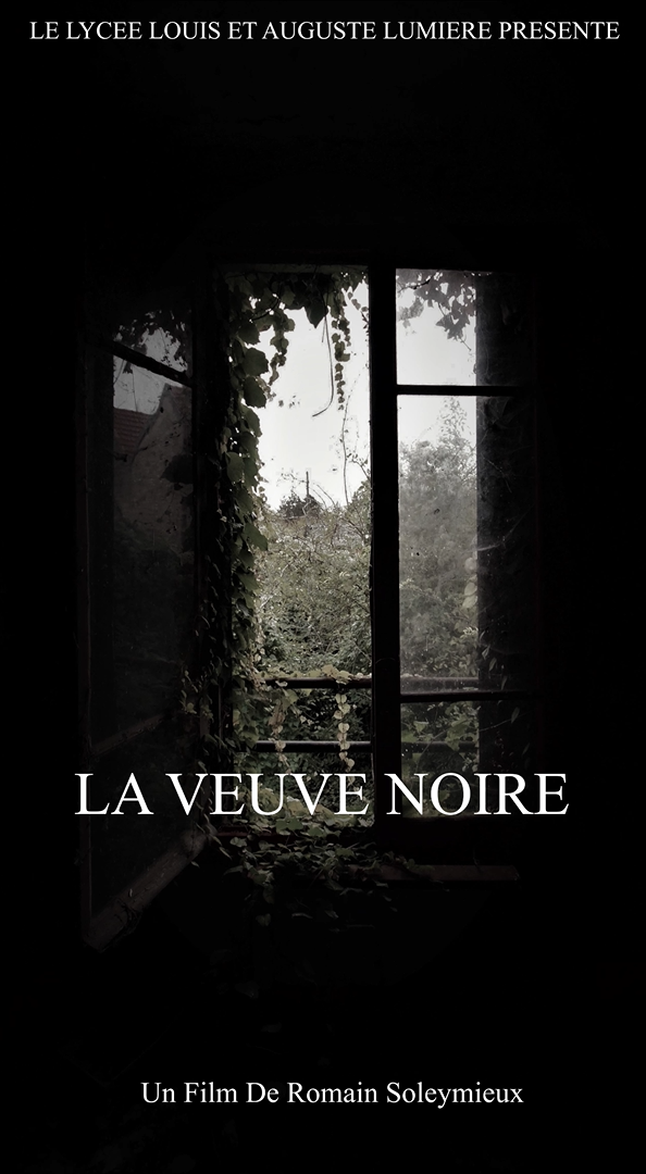 LA VEUVE NOIRE Courtmétrage (2017) SensCritique