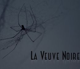 image-https://media.senscritique.com/media/000018556157/0/la_veuve_noire.jpg