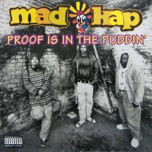 Proof Is in the Puddin' (Single)
