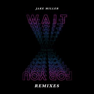 Wait For You (remixes)