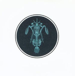 [untitled] (EP)