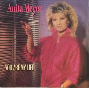 You Are My Life / Never Gonna Let You Down (Single)