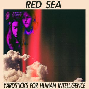 Yardsticks for Human Intelligence (EP)