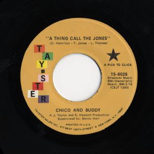 A Thing Call the Jones / Can You Dig It (Single)