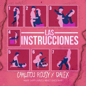 Las instrucciones