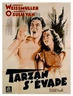 Affiche Tarzan s'évade