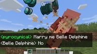 Marrying Belle Delphine in Minecraft