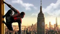 Spiderman et New York / Urbino / Nice