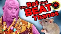 The Rat That Beat Thanos! (Marvel Endgame)