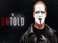 How Sting Finally Debuted In WWE