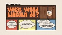 What Wood Lincoln Do?