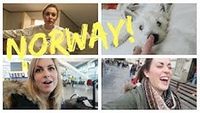 VLOG | I'M A LITTLE BABY PENGUIN!