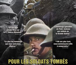 image-https://media.senscritique.com/media/000018577107/0/pour_les_soldats_tombes.jpg