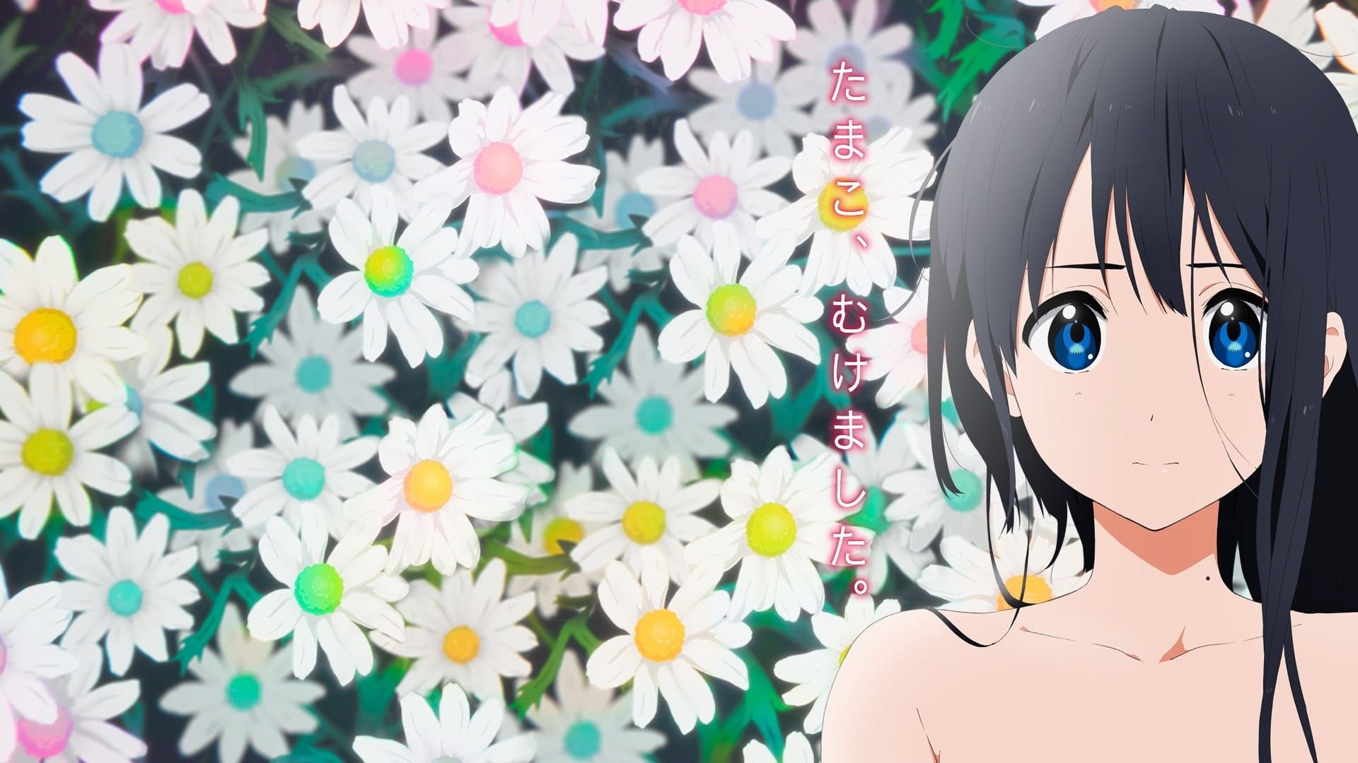 Tamako Love Story (2014) - AnimeciX