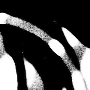 Flesh Impact (EP)