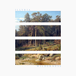 Wilderness (Single)