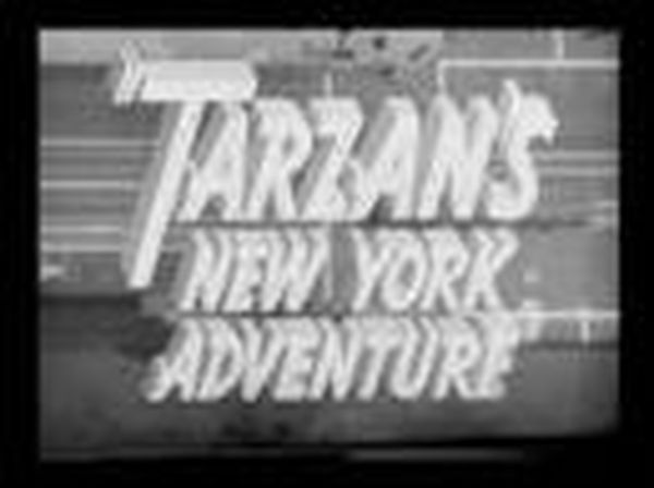 Les Aventures de Tarzan à New-York