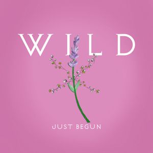 Just Begun (Single)