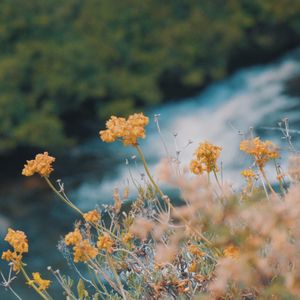 Everything (Single)
