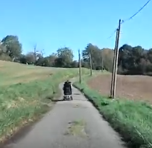 L'étrange cas des Yvelines