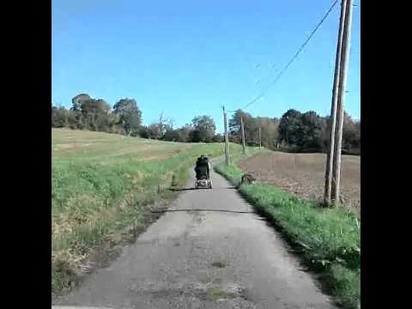 L'étrange cas des Yvelines