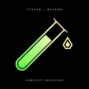 Perfect Solution EP (EP)