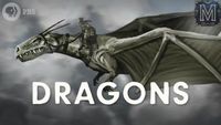How Dragons Conquered the World