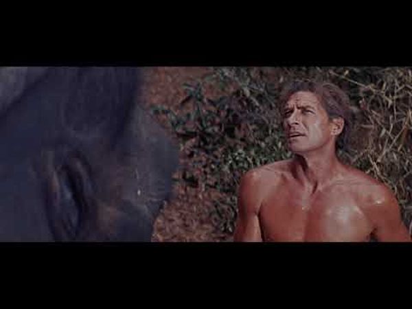 Tarzan aux Indes