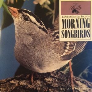 Morning Songbirds