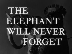The Elephant Will Never Forget