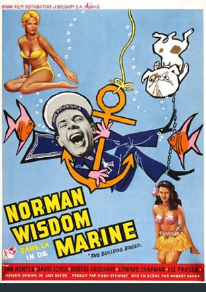 Norman dans la marine