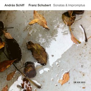Schubert: Piano Sonata No. 20 in A Major, D. 959 - 1. Allegro