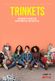 Affiche Trinkets