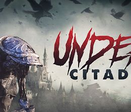 image-https://media.senscritique.com/media/000018599763/0/undead_citadel.jpg