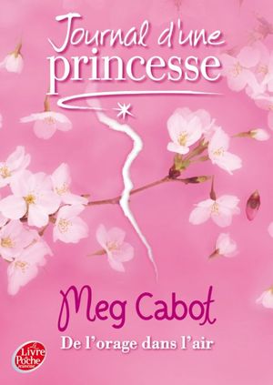 De l'orage dans l'air - Journal d'une princesse, tome 8