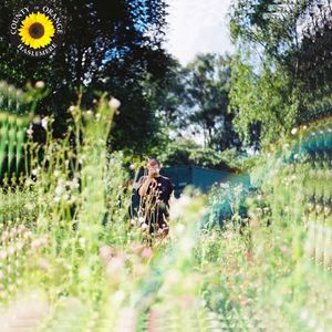 Sunflower (Single)