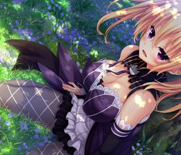 image-https://media.senscritique.com/media/000018603019/0/the_princess_the_stray_cat_and_matters_of_the_heart.jpg
