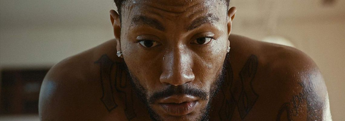 Cover Pooh: The Derrick Rose Story