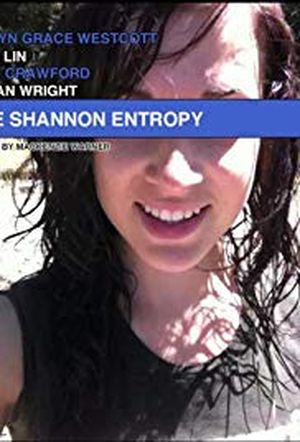 The Shannon Entropy