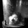 Avatar Eyvind Casse Avatar Eyvind Casse