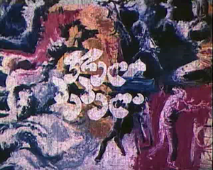 A Variegated Butterfly