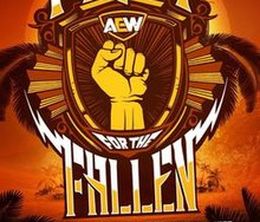 image-https://media.senscritique.com/media/000018615103/0/all_elite_wrestling_fight_for_the_fallen.jpg