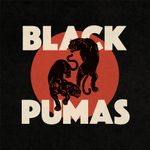 Pochette Black Pumas Pochette Black Pumas