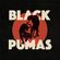 Pochette Black Pumas
